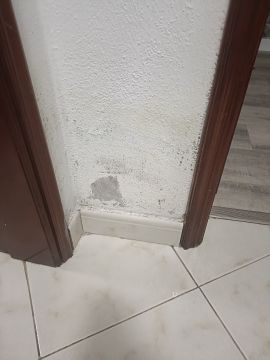 Pintor de Casas