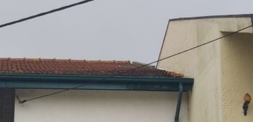 Limpeza de Telhado