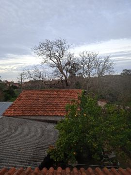 Podador de Árvores - Casa