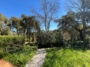Serviço de Jardinagem