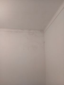 Pintor de Casas