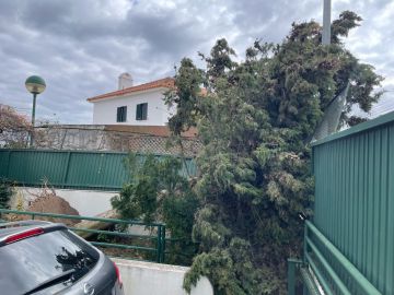 Tree Trimmer