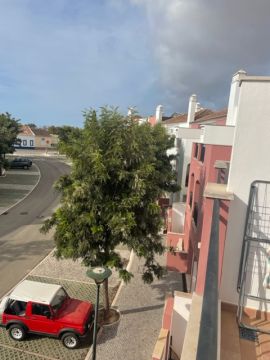 Jardinagem e Relvados