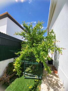 Serviço de Jardinagem