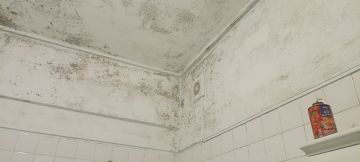 Peinture - Maison