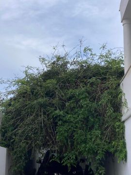 Jardinagem e Relvados
