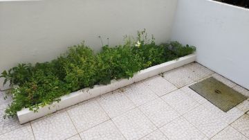Jardinagem e Relvados