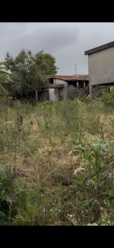 Jardinagem - Jardinagem e Relvados