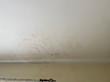 Waterproofing Specialist