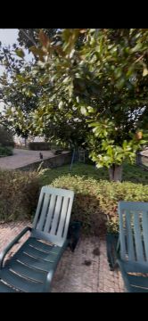 Gartenarbeit