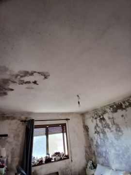 Pintor de Interiores
