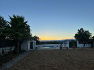 Serviço de Jardinagem