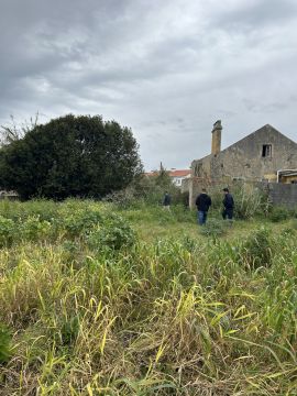 Jardinagem e Relvados - Casa