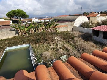 Jardinagem