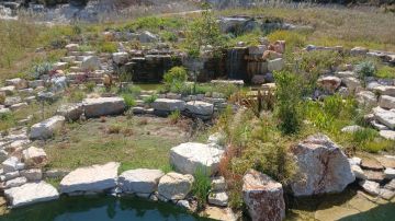 Serviço de Jardinagem