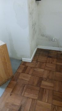 Pintura de Casas