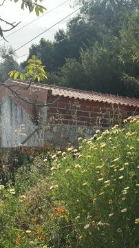 Jardinagem e Relvados