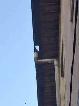 Gutter Installation or Replacement