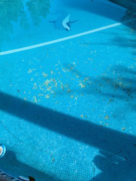 Piscinas, Saunas, Hidromassagem e SPAs