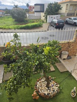 Lawncare