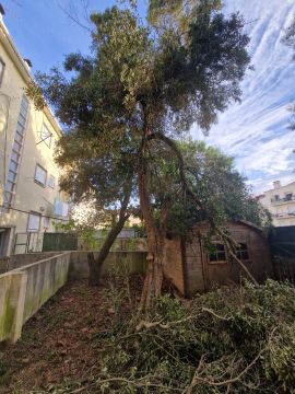 Jardinagem e Relvados