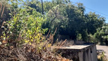 Serviço de Jardinagem