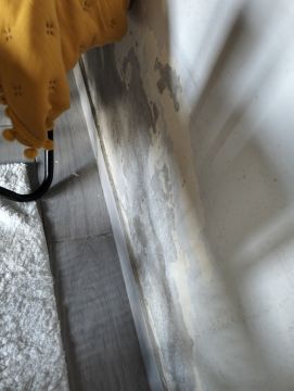 Painters - Home Improvements