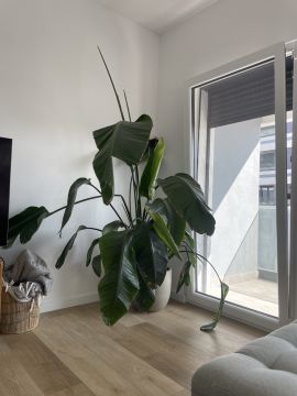 Serviço de Jardinagem
