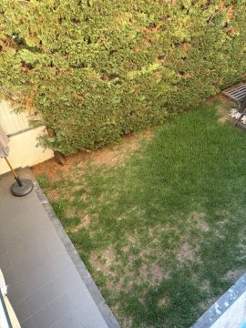 Serviço de Jardinagem
