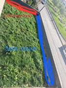 Artificial Turf Specialist
