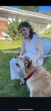 Creche para Cães