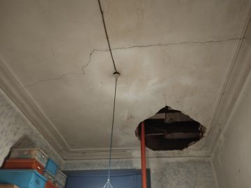 Carpentry and Woodworking