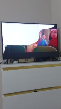 TV Repair Specialist