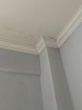 Pintor de Interiores