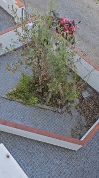 Jardinagem
