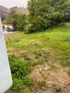 Architecte