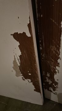 Pintura de Portas
