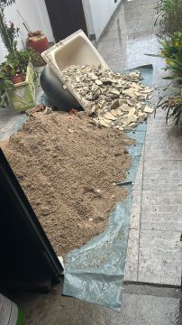 Especialista em Remoção de Lixo e Entulho