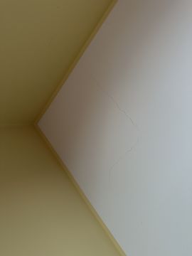 Pintor de Casas