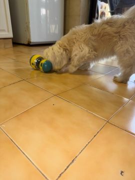 Tile Installation Professional - Home Improvements