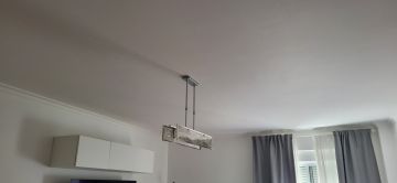 Drop Ceiling professional