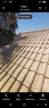 Poda e Manutenção de Árvores
