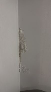 Pintura de Casas