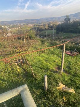Jardinagem - Jardinagem e Relvados