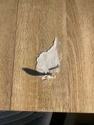 Carpenter