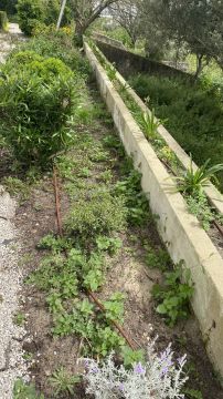 Lawncare - Home Improvements