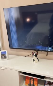 Reparador de TV