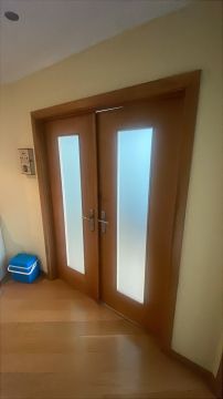 Pintor de puertas