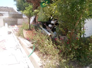 Jardinagem e Relvados