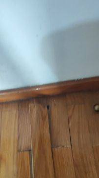 Flooring Specialist